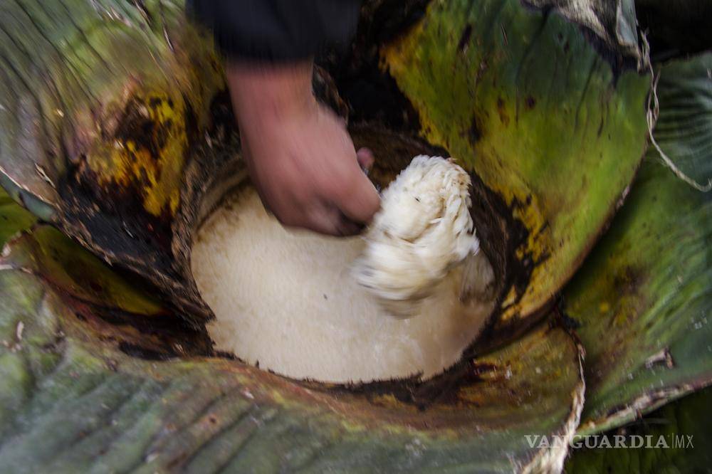 $!"Cuando empezamos no había hipsters": cómo los punks rescataron la tradición del pulque en México