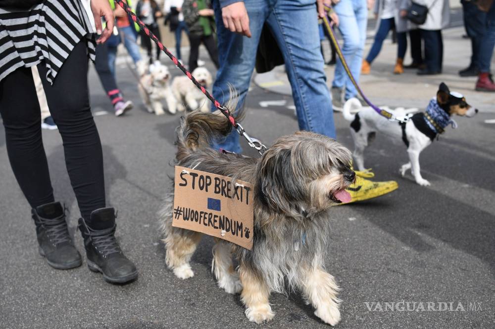 $!Cientos de perros ladran contra el "Brexit" en Londres