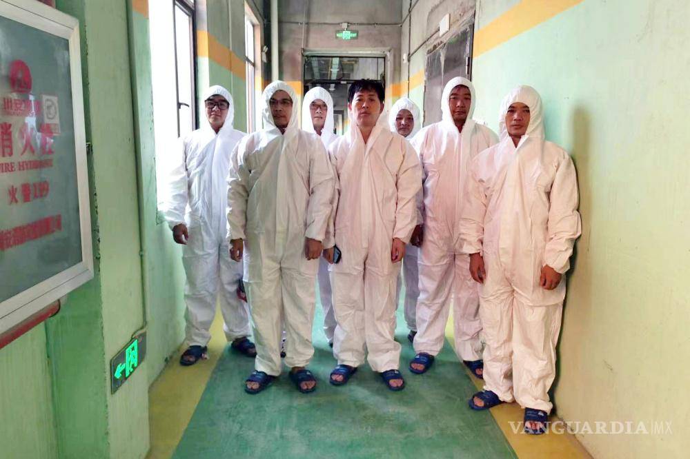 $!Una foto proporcionada por Hubei Zhongxin Kaiwei muestra a los visitantes de la granja de cerdos urbana de la compañía en las afueras de Ezhou, China.