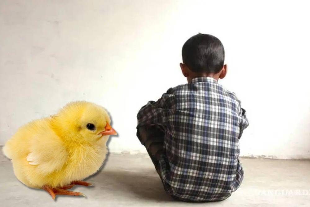 ‘Pollitos de colores’, niños y adolescentes al servicio de la delincuencia organizada