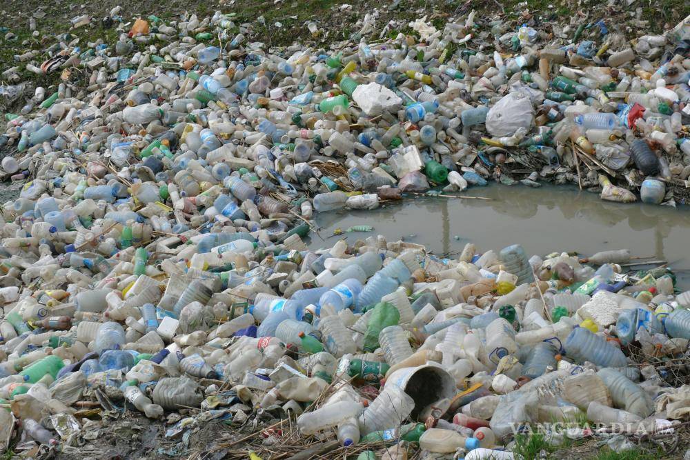 $!Basura en el barrio Këneta (pantano) en las afueras de la ciudad marítima de Durrës, uno de los destinos principales turísticos de Albania.