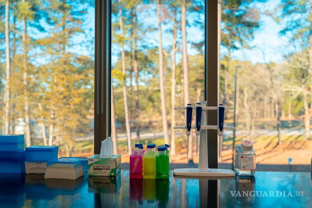 $!Cultivando células mamarias logran desarrollar la primera leche materna hecha en un laboratorio