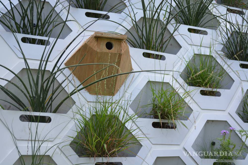 $!Pon a tu casa una piel verde