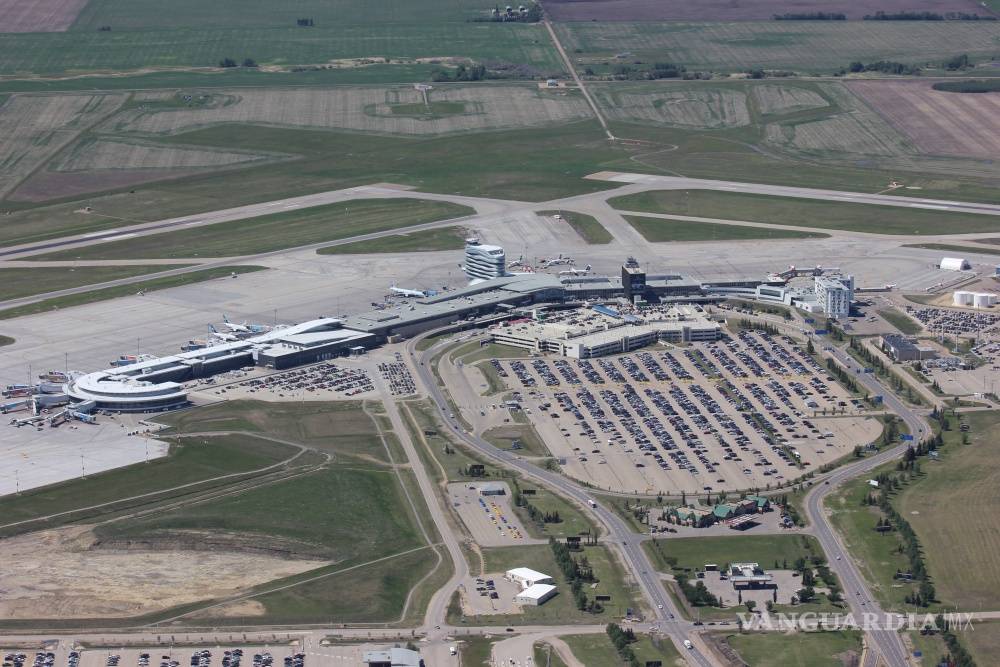 $!“Robird”, el robot halcón que cuida del aeropuerto de Edmonton en Canadá