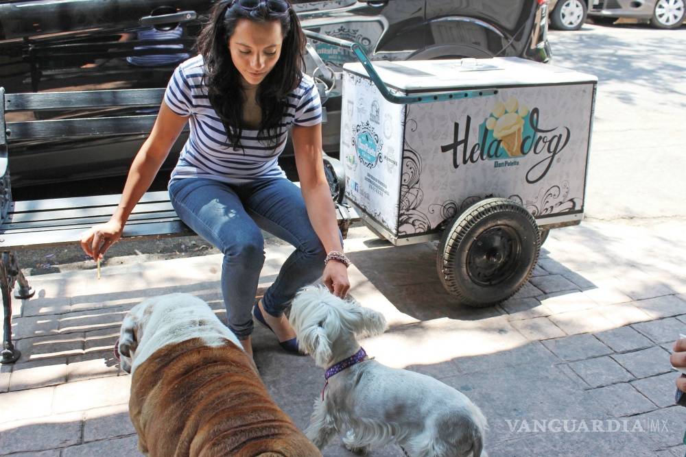 $!“Don Paletto” primera nevería en México para las mascotas
