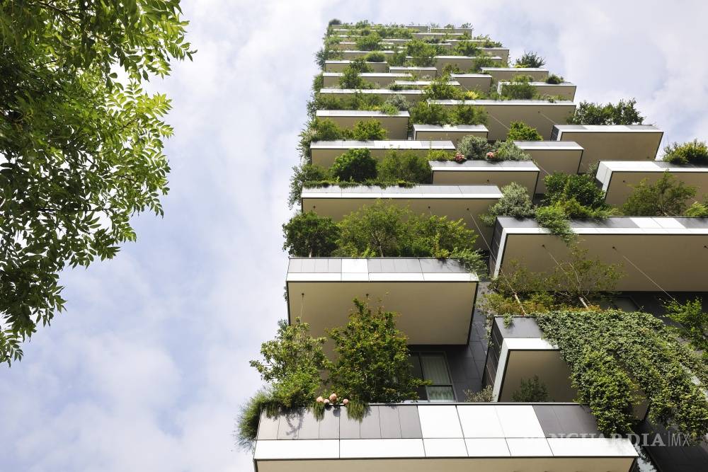 $!En la región china de Liuzhou se construye la primera ciudad-bosque del mundo