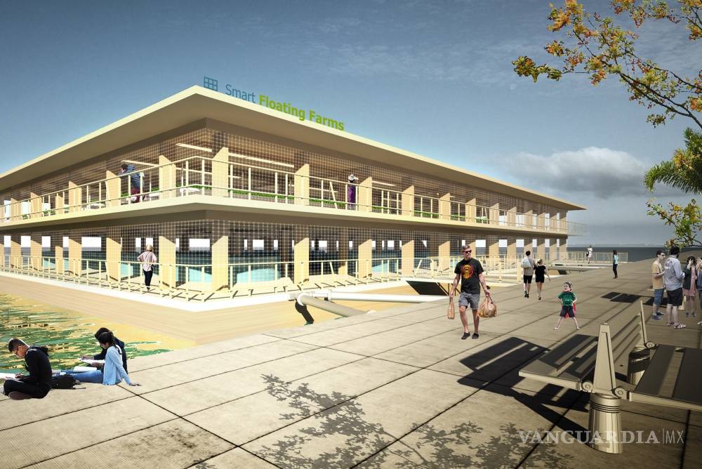 $!¡Granjas que flotan!, abren las puertas a una producción agropecuaria sostenible