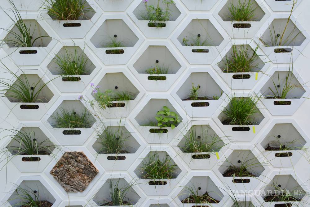 $!Pon a tu casa una piel verde