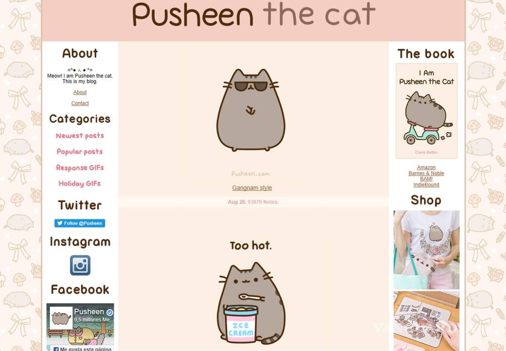 $!Gatos, los reyes de las redes sociales