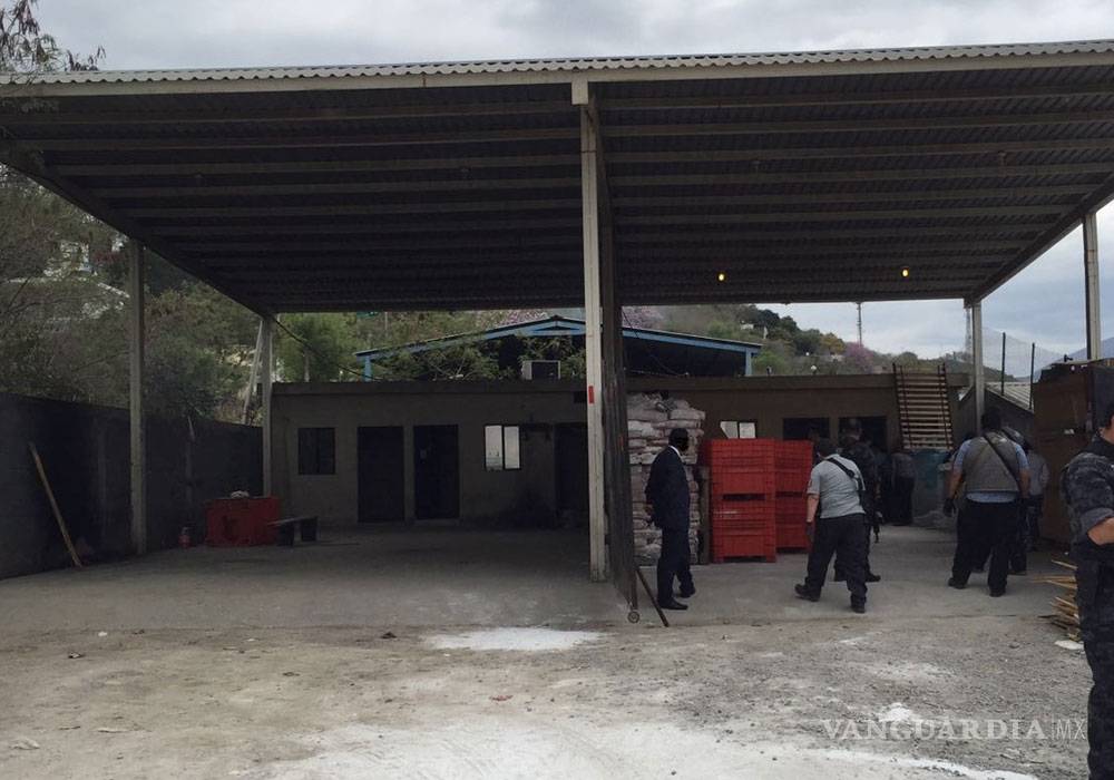 $!Decomisan dos toneladas de mariguana en Nuevo León