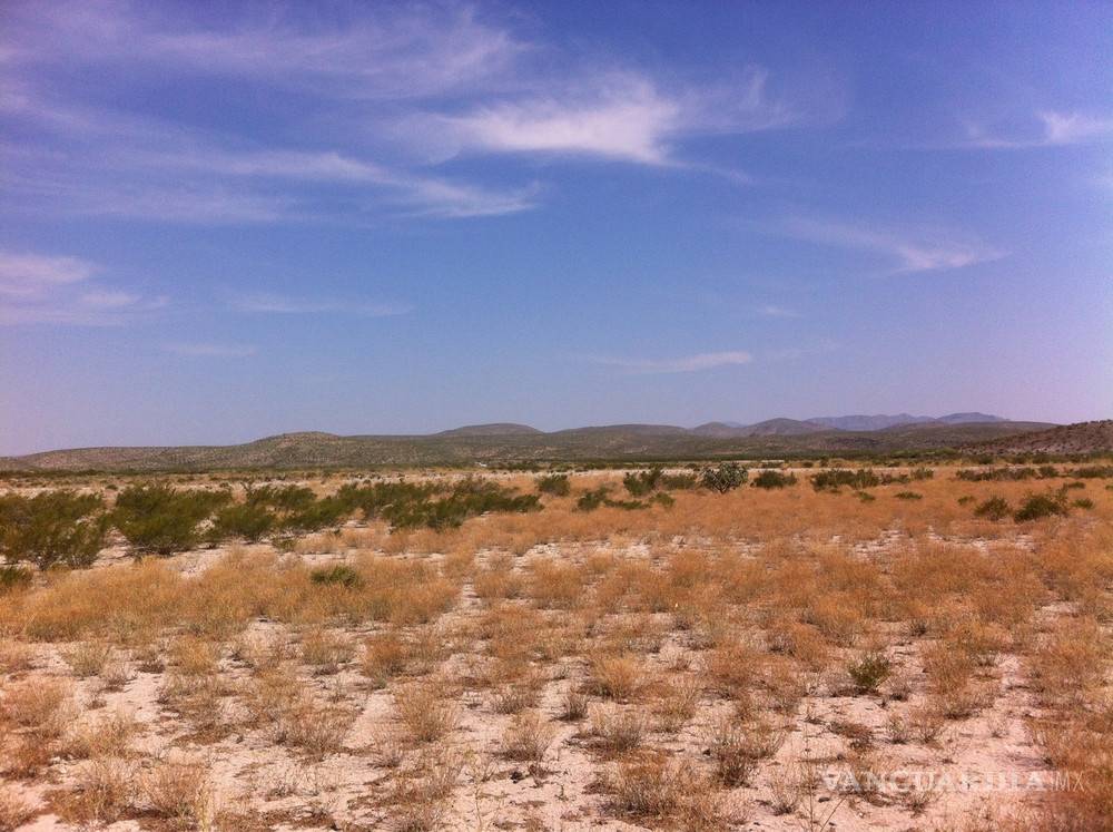 $!"Este huesito tuvo nombre y apellido": en busca de desaparecidos en el Desierto de Coahuila
