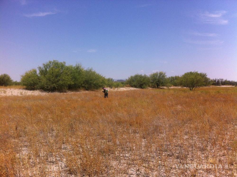 $!"Este huesito tuvo nombre y apellido": en busca de desaparecidos en el Desierto de Coahuila