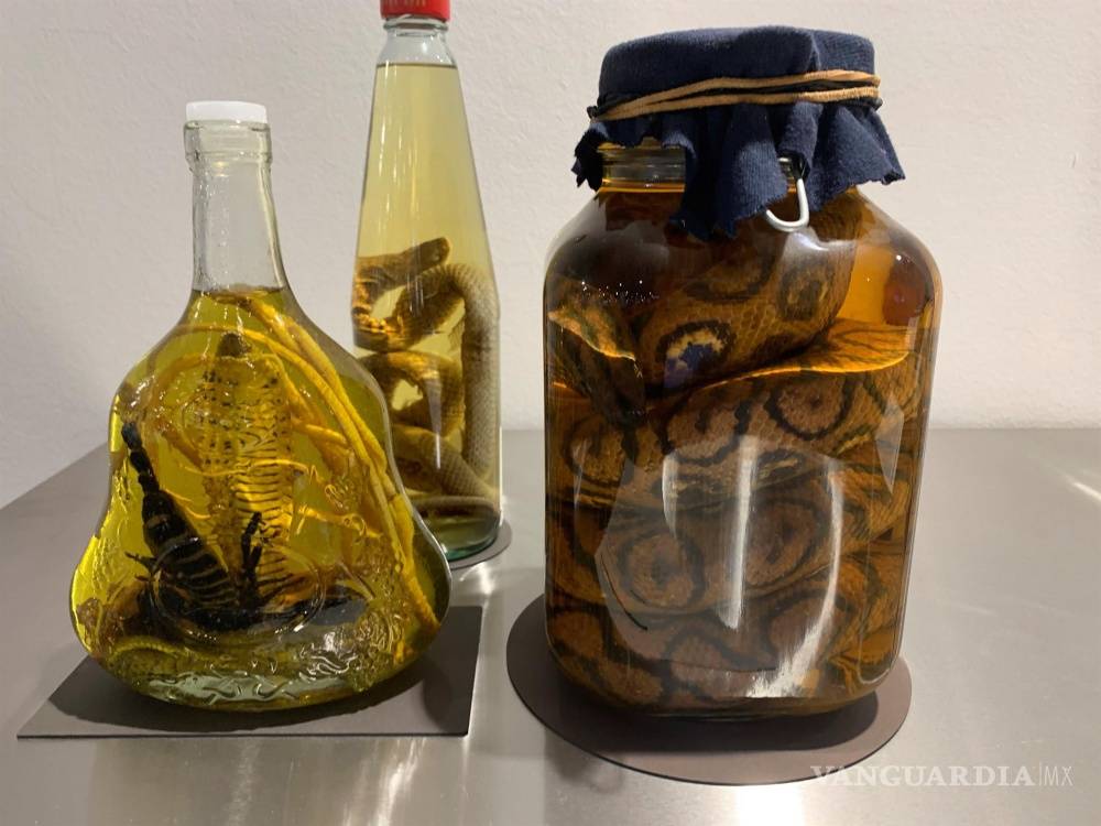 $!Disgusting Food Musem (DFM) te invita a degustar Ojos de oveja o vino de serpiente