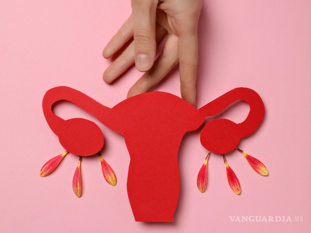 ¿Qué tanto sabes sobre tu ciclo menstrual?