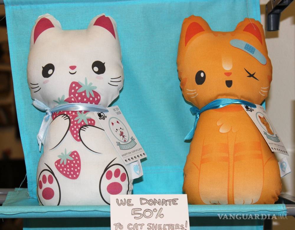 $!Gatos, los reyes de las redes sociales