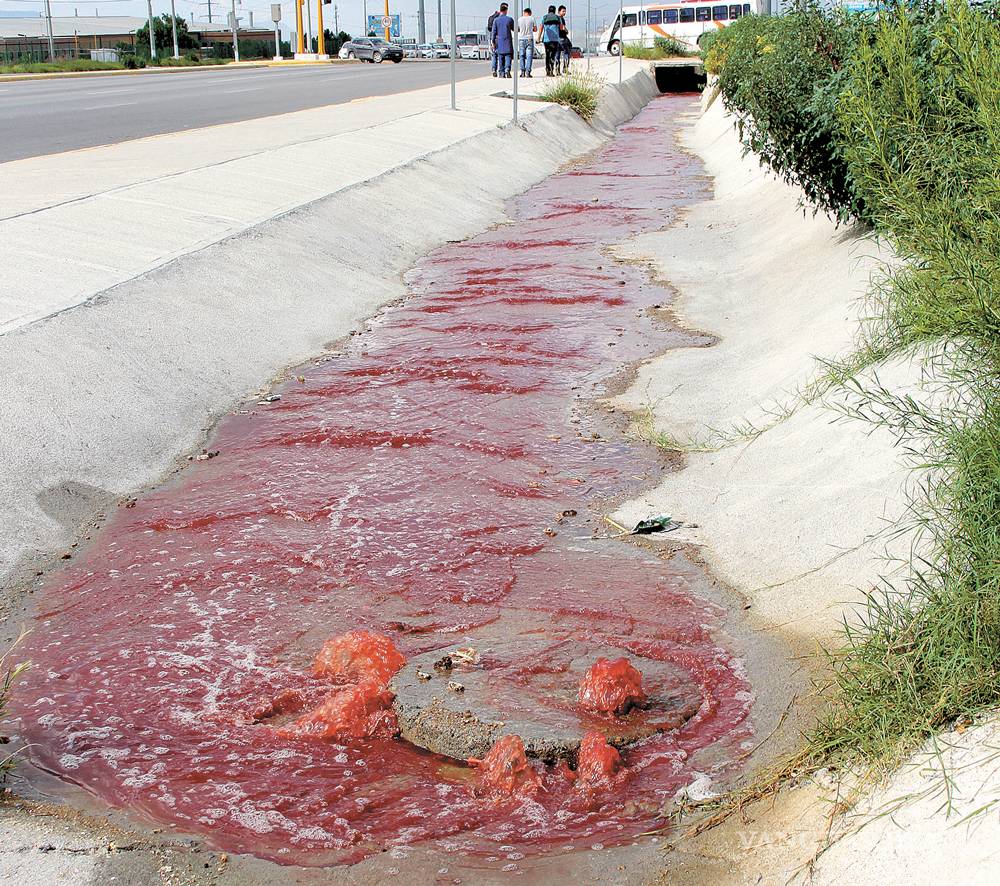 $!Reanudaría Rastro Municipal de Saltillo, operaciones este viernes