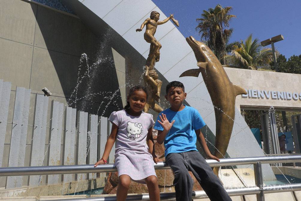 $!Acuario Mazatlán; toda una experiencia