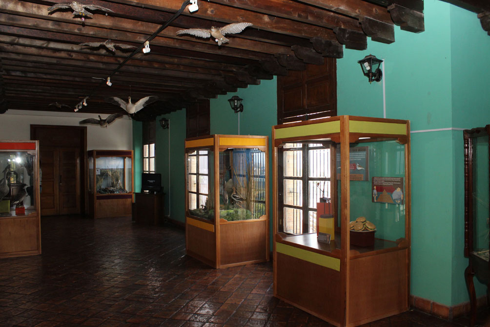 $!Museo de las Aves de México, un cuarto de siglo al servicio de la preservación