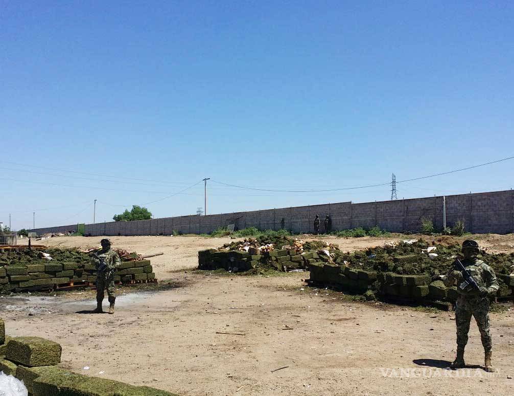$!Marina y PGR destruyen 16 toneladas de mariguana