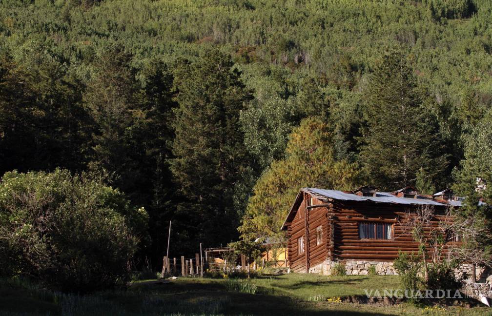 Vigilarán las 24 horas para evitar incendios forestales