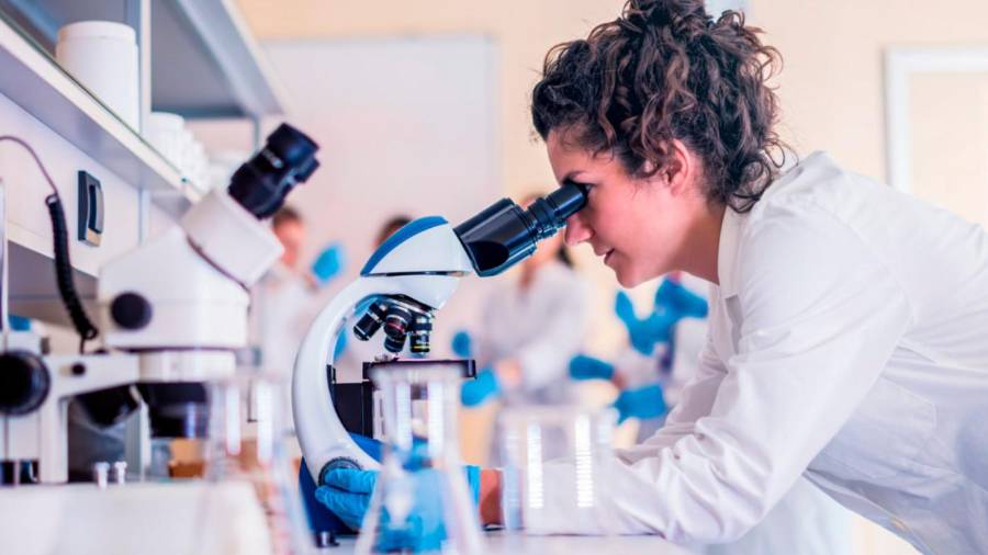 Coahuila se ubica entre los estados con mayor proporción de mujeres en estas áreas, junto con Querétaro.