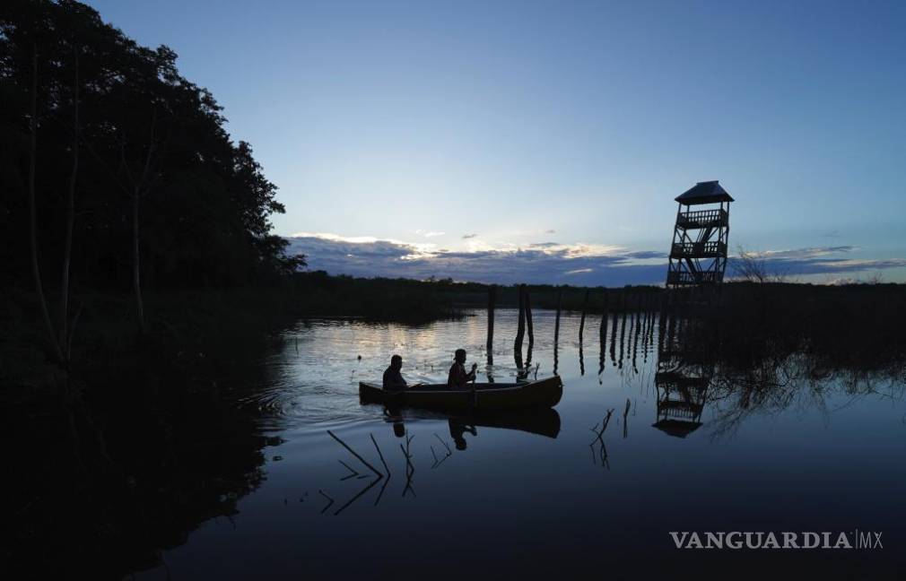 La selva de Calakmul, el nuevo foco rojo del Tren Maya