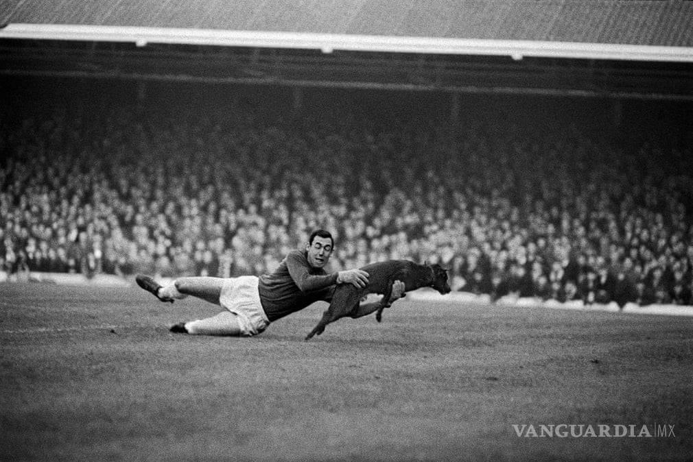 $!Jugo Naranja: No trabajes tanto por nada, ahorra un poco para San Valentín