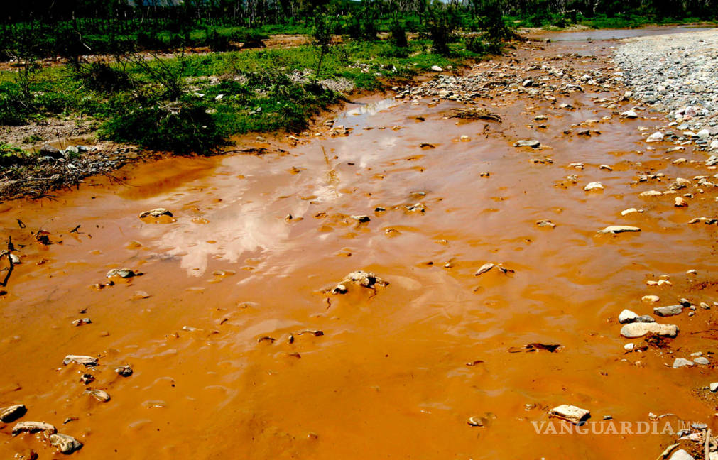 $!Contaminación en el río Sonora superó hasta 31 mil veces la norma