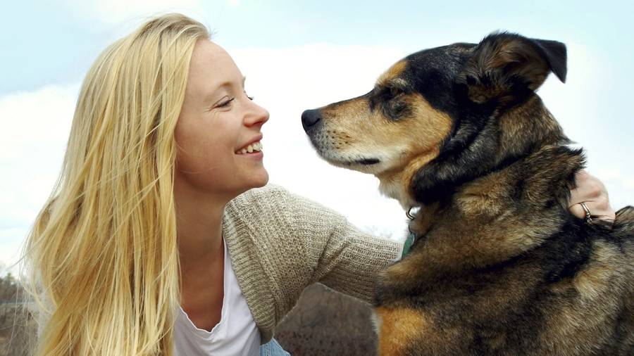 Mujeres a toda madre