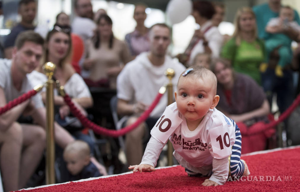 $!25 bebés participan en una carrera de gateo en Lituania