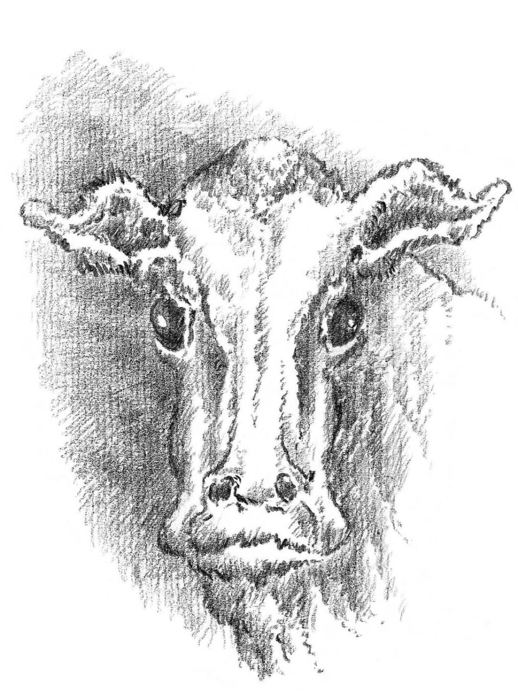 $!"De la finitud", el regalo literario de Grass, un año después de su muerte