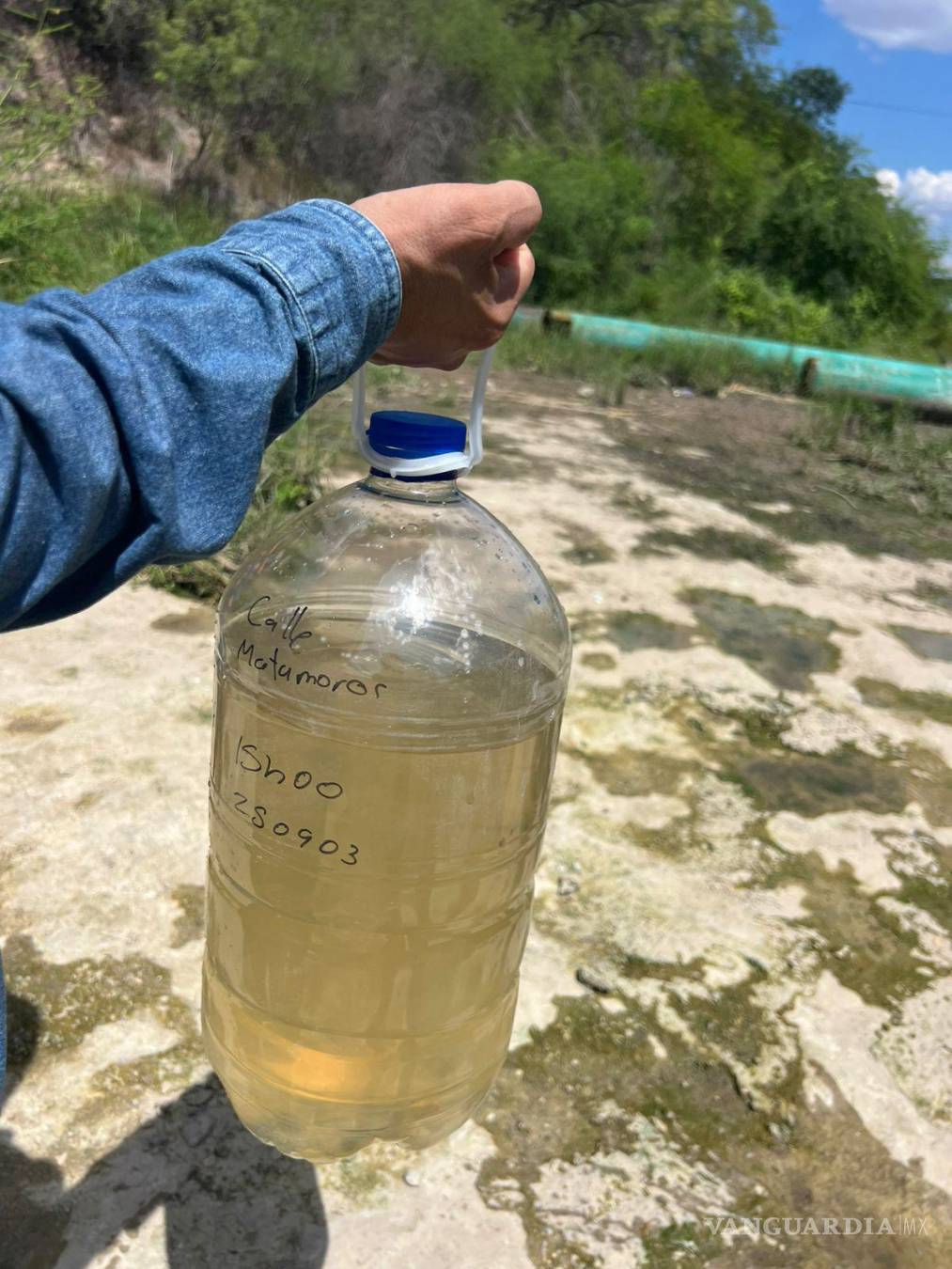 $!Muestras de agua y peces muertos fueron enviadas a laboratorios especializados.