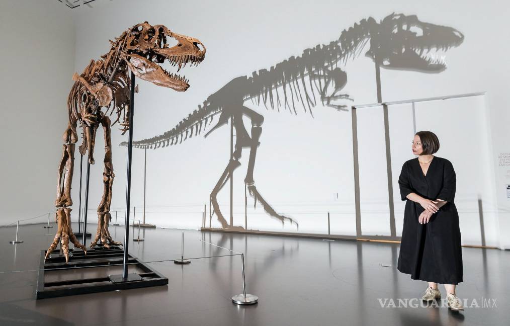 Subastan el esqueleto de un dinosaurio de hace 77 millones de años