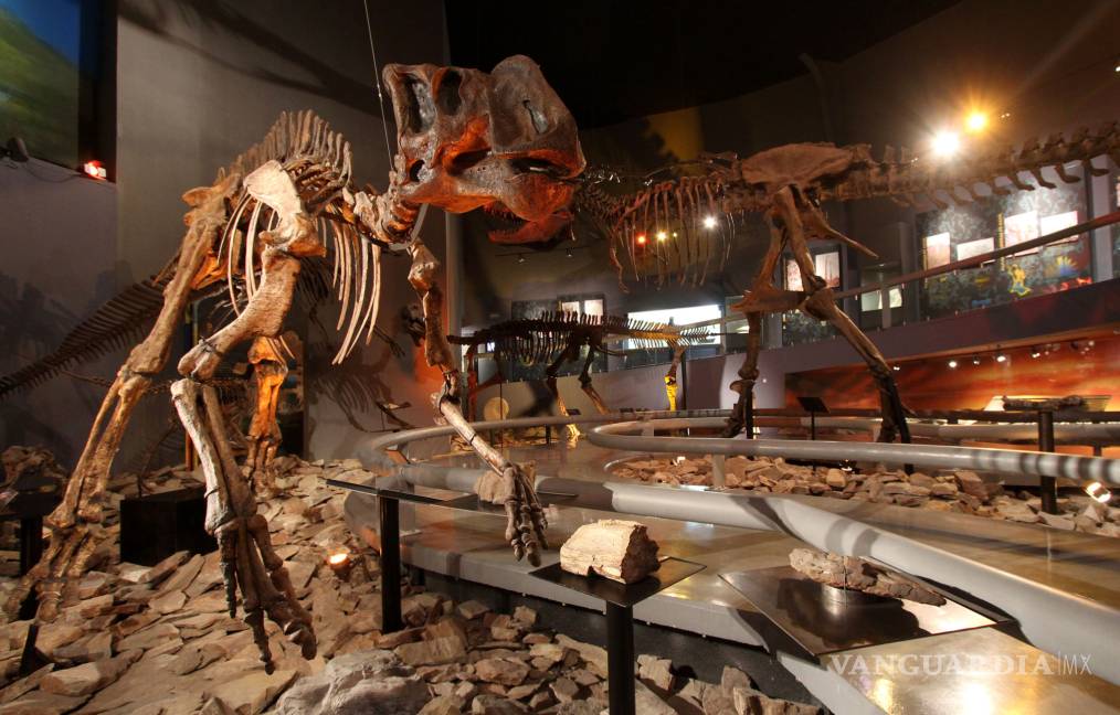 $!¿Te quedaste en Saltillo? ¡Visita los museos!