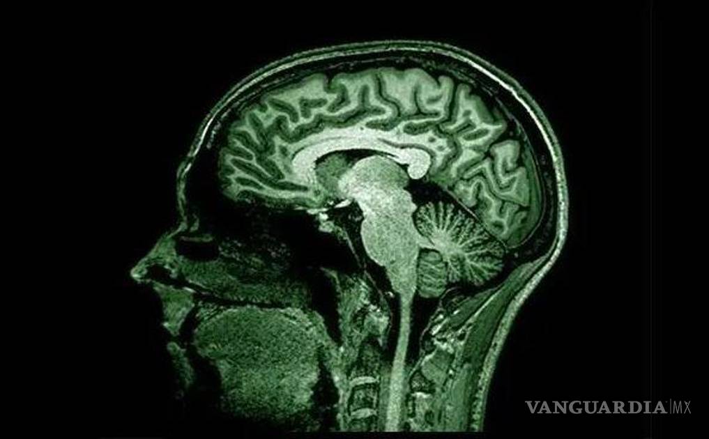 Nuevo estudio precisa que un error de limpieza cerebral, como la posible causa común de alzheimer y ELA