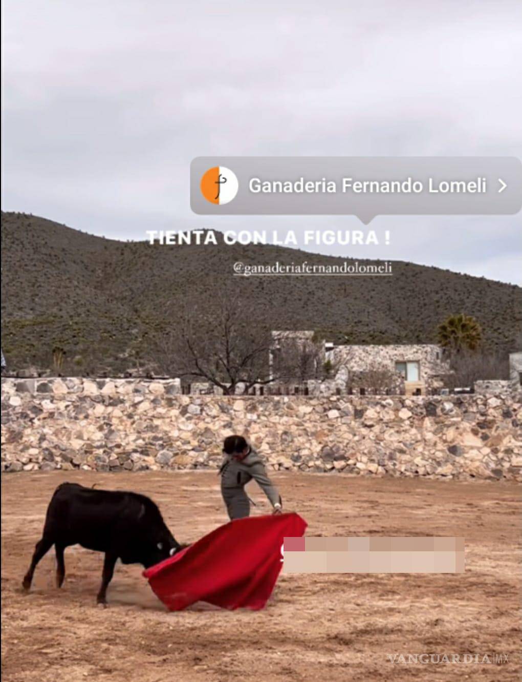 $!Imagen de la tienta ilegal revelan la participación de figuras destacadas, incluyendo al torero Joselito “N”.