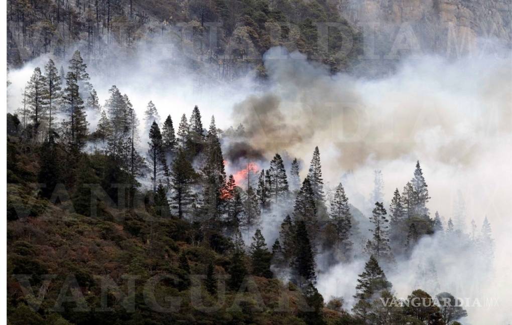 $!Incendio en La Pinalosa registra un 45% de control