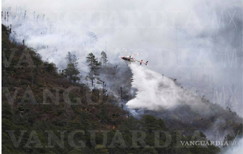 Incendio en La Pinalosa registra un 45% de control