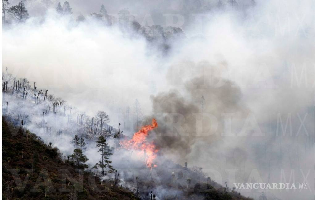 $!Incendio en La Pinalosa registra un 45% de control