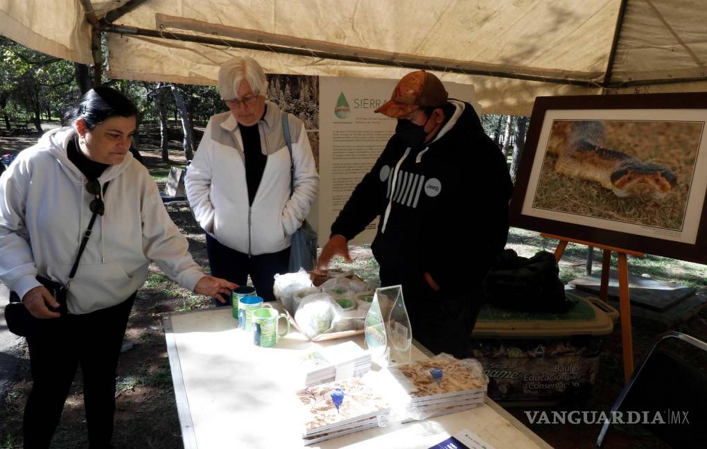 Organiza Sema bazar segunda oportunidad para el oso negro