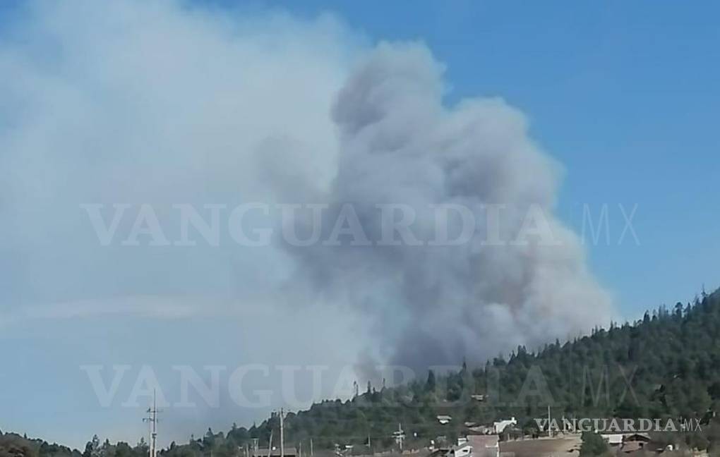 Alarma incendio forestal en el ejido Los Lirios de Arteaga