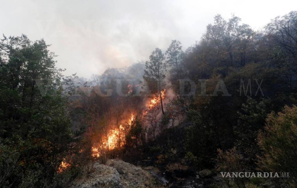 $!Incendio forestal en sierra de Arteaga sin control; evacuan a ejidatarios de San José de Boquillas