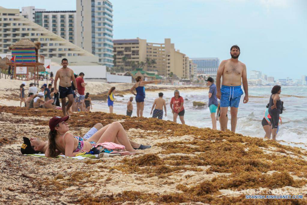 $!Sargazo de Cancún es ocultado en tiraderos clandestinos