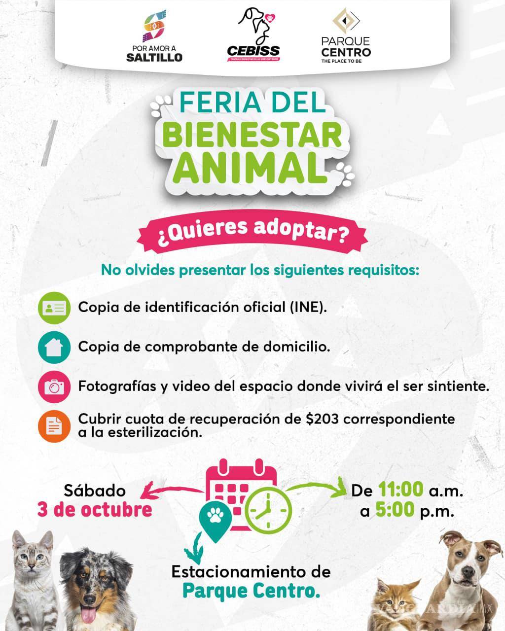 $!Quienes deseen adoptar un ejemplar en la Feria del Bienestar Animal deberán presentar identificación, comprobante de domicilio, evidencias del espacio donde habitará y cubrir el costo de la esterilización.