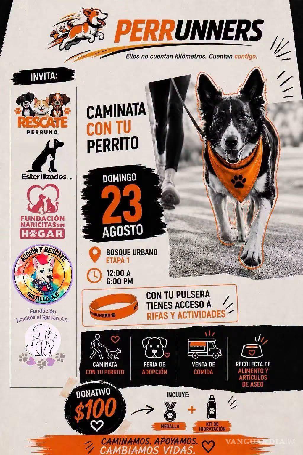 $!El Bosque Urbano Ejército Mexicano será escenario de esta jornada dedicada al bienestar de los perros.