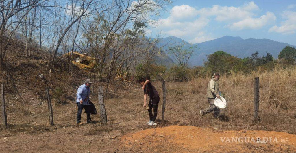 Sacan barita de mina en Chiapas, ¡con hombres armados!