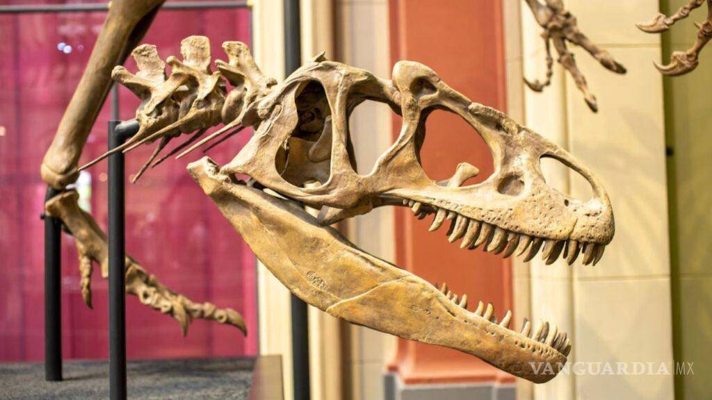 $!Las imágenes de las monedas están inspiradas en los dinosaurios hallados en Coahuila.