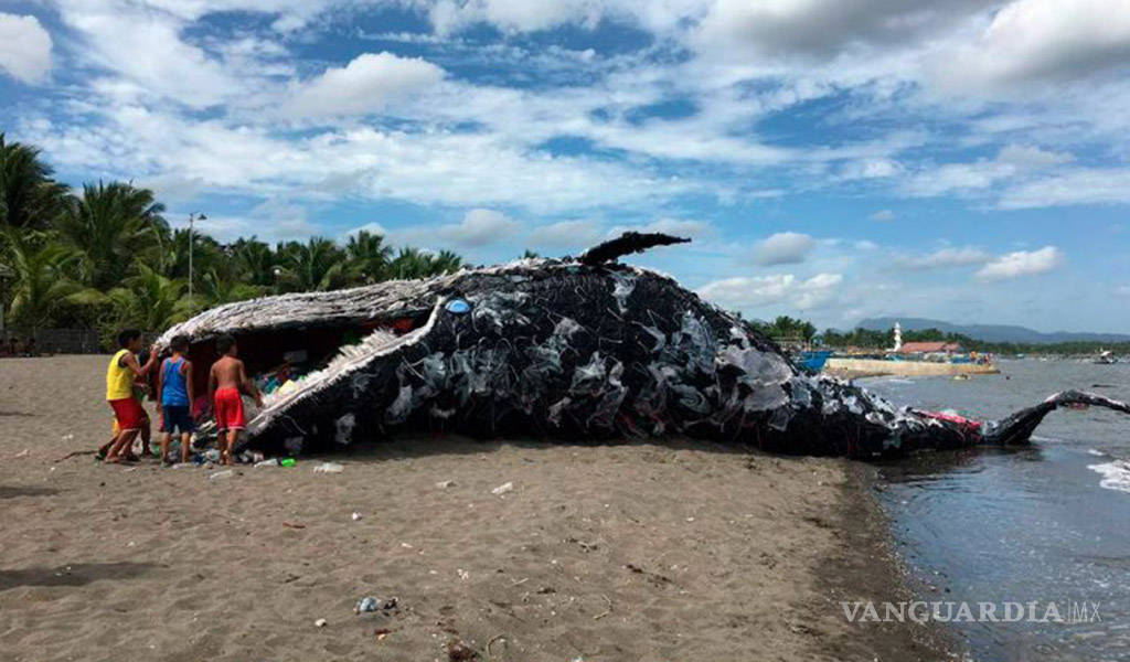 $!¿Es real la imagen viral de la ballena varada llena de basura?