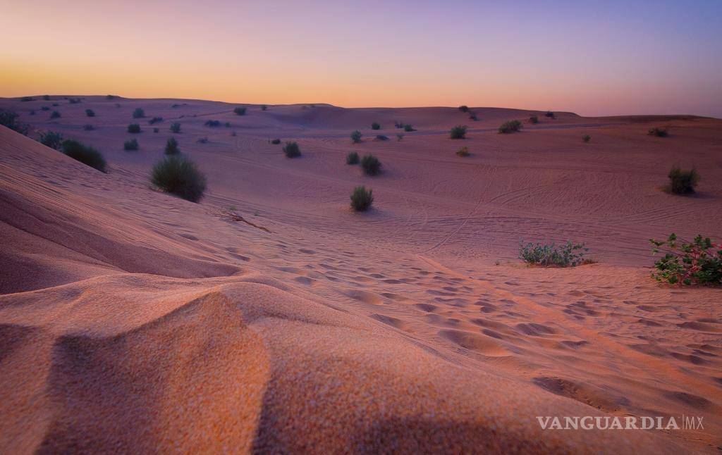 $!Uno de los paisajes desérticos más hermosos de México: las Dunas de Bilbao.