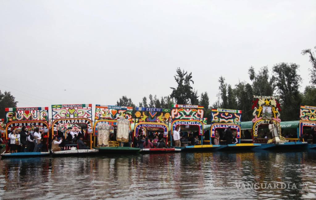 $!Ajolotes en peligro de extinción: UNAM alerta sobre la posible desaparición de esta especie en Xochimilco para 2025